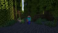 Steve in a mangrove swamp biome (Image via Mojang)